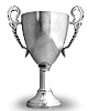 Pokal